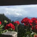 Wunderbar Ruhige Ferienwohnungen In Strobl Am Wolfgangsee Im Forsthaus