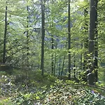 Im Forsthaus Wunderbar Ruhige In Am Wolfgangsee Im Forsthaus 아파트 *