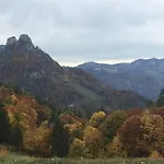 Wunderbar Ruhige Ferienwohnungen In Strobl Am Wolfgangsee Im Forsthaus