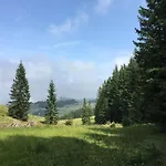 Appartements Im Forsthaus Wunderbar Ruhige Ferienwohnungen In Strobl Am Wolfgangsee Im Forsthaus *