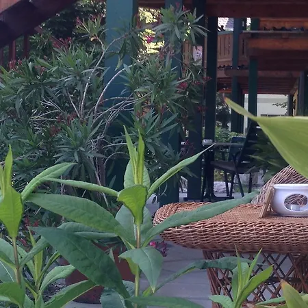 Im Forsthaus Wunderbar Ruhige In Am Wolfgangsee Im Forsthaus Strobl