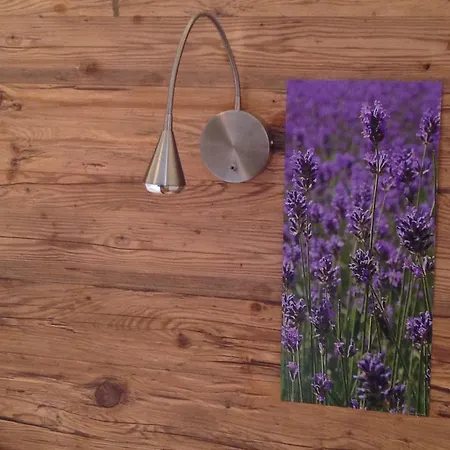 Im Forsthaus * Strobl