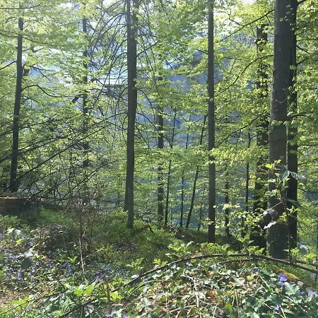 Im Forsthaus Apartment *