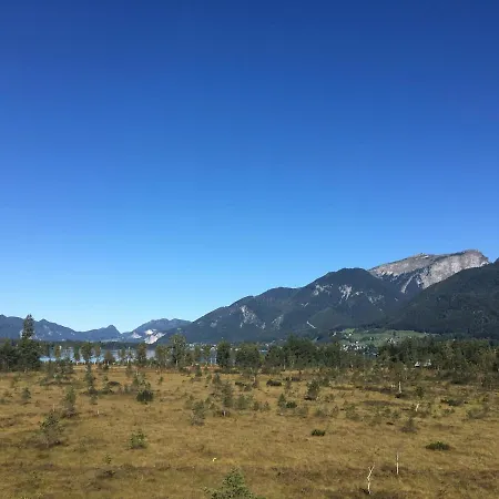 Im Forsthaus Wunderbar Ruhige In Am Wolfgangsee Im Forsthaus Lägenhet Strobl