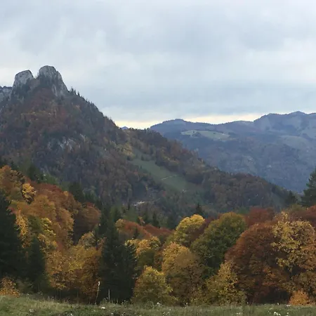 Im Forsthaus Wunderbar Ruhige In Am Wolfgangsee Im Forsthaus