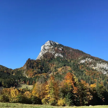 Im Forsthaus Wunderbar Ruhige In Am Wolfgangsee Im Forsthaus Lägenhet