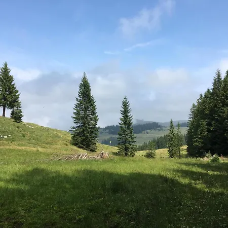 Im Forsthaus Strobl