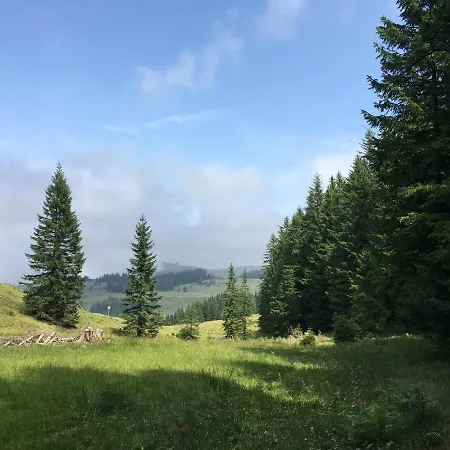Im Forsthaus Wunderbar Ruhige In Am Wolfgangsee Im Forsthaus *