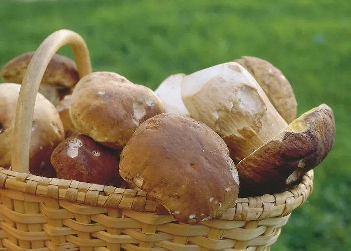 Apartment Im Forsthaus