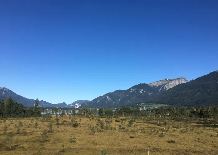 Im Forsthaus Apartment Strobl